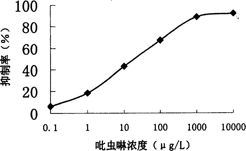 Production method and use for imidacloprid artificial hapten, artificial antigen and specific antibody