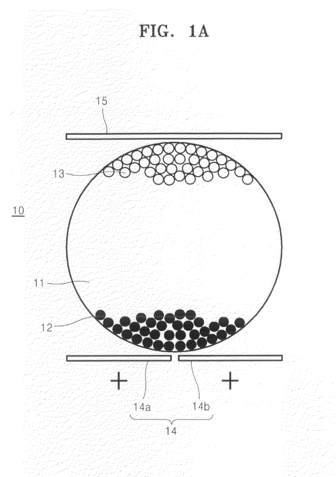 Display apparatuses and methods of driving the same