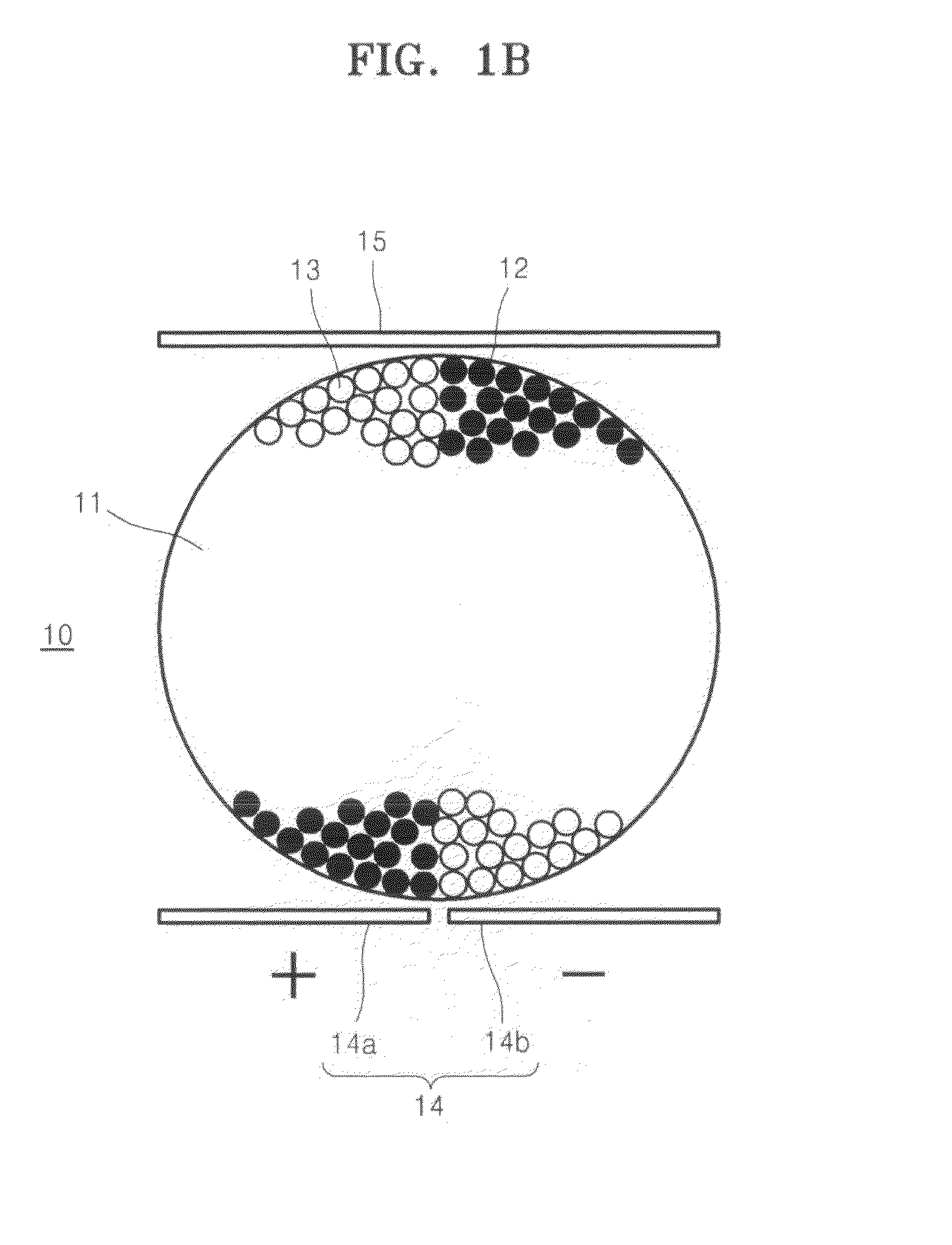 Display apparatuses and methods of driving the same