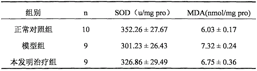 Probiotics preparation for preventing and treating diabetic encephalopathy and method for preparing probiotics preparation