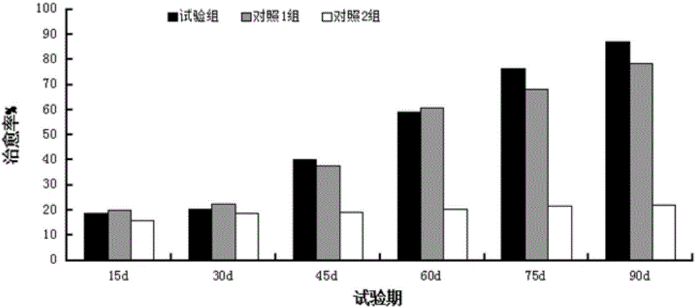 Dairy cow hoof disease control functional composition