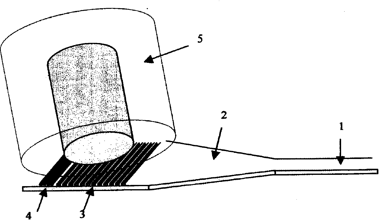 Waveguide grating coupler with distributed Bragg reflector and manufacturing method thereof