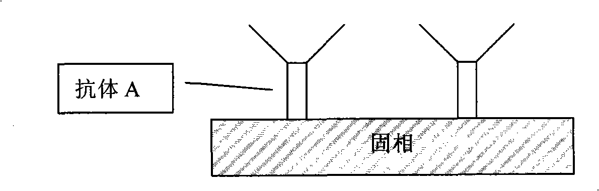 Quantitative determination method for saccharified protein