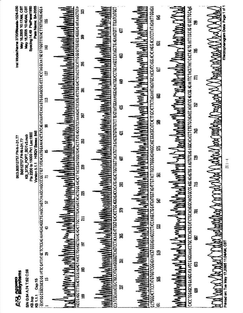 Application of recombinant FN heparin binding domain polypeptide on preparing medicament resisting invasion and metastasis of malignant tumor