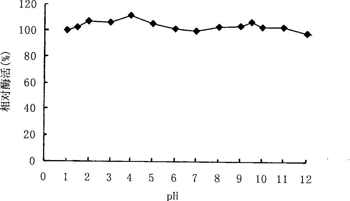 Eosinophil beta-mannanase MAN5A and gene and application thereof