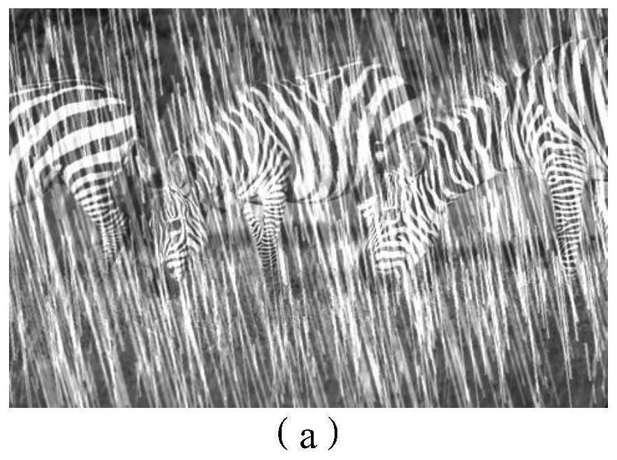 Image rain removal method and system