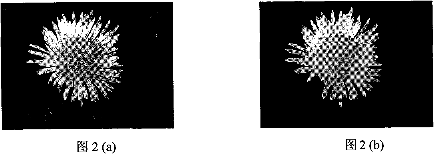 Method for extracting image attention by image based multi-characteristic integration