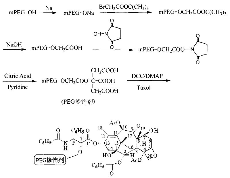 Water-soluble taxol prodrug prodrug preparation method