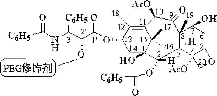 Water-soluble taxol prodrug prodrug preparation method