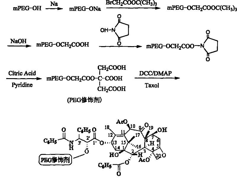 Water-soluble taxol prodrug prodrug preparation method