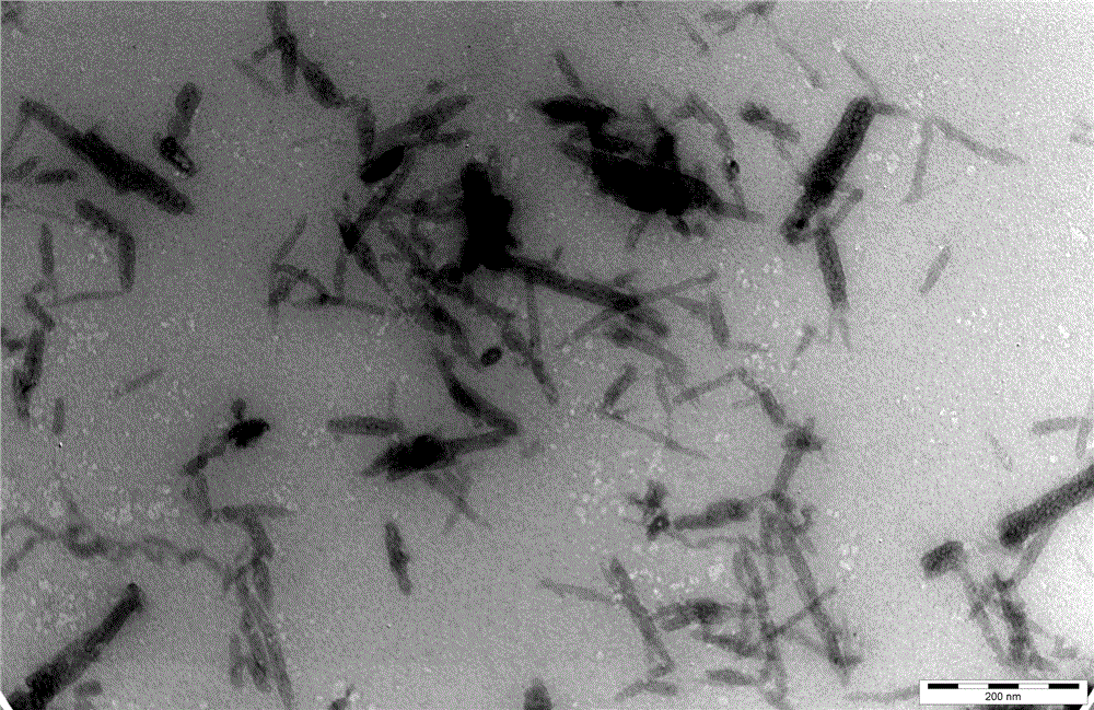 A nanosuspension of hsp90 inhibitor with benzamide as basic skeleton and preparation method thereof