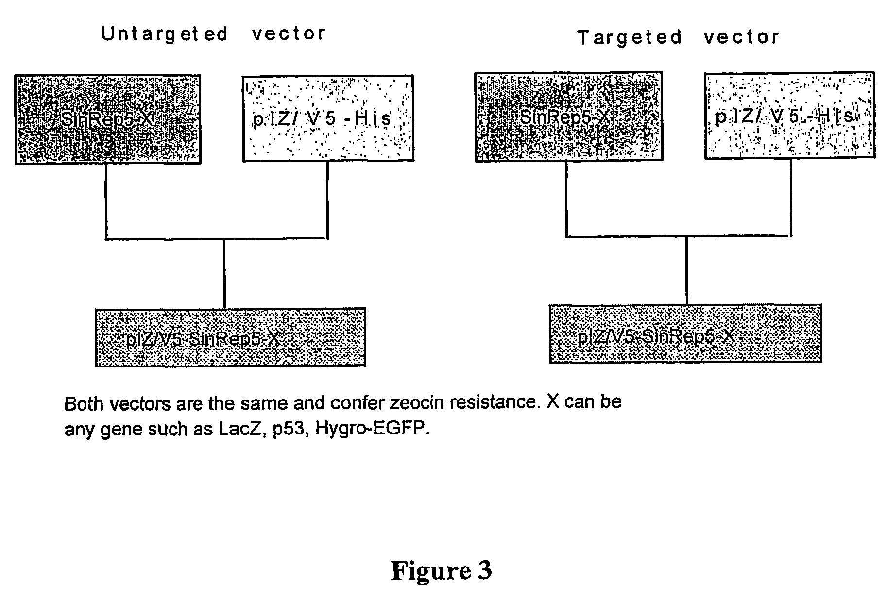 Packaging cell lines for the continuous production of alphavirus vectors