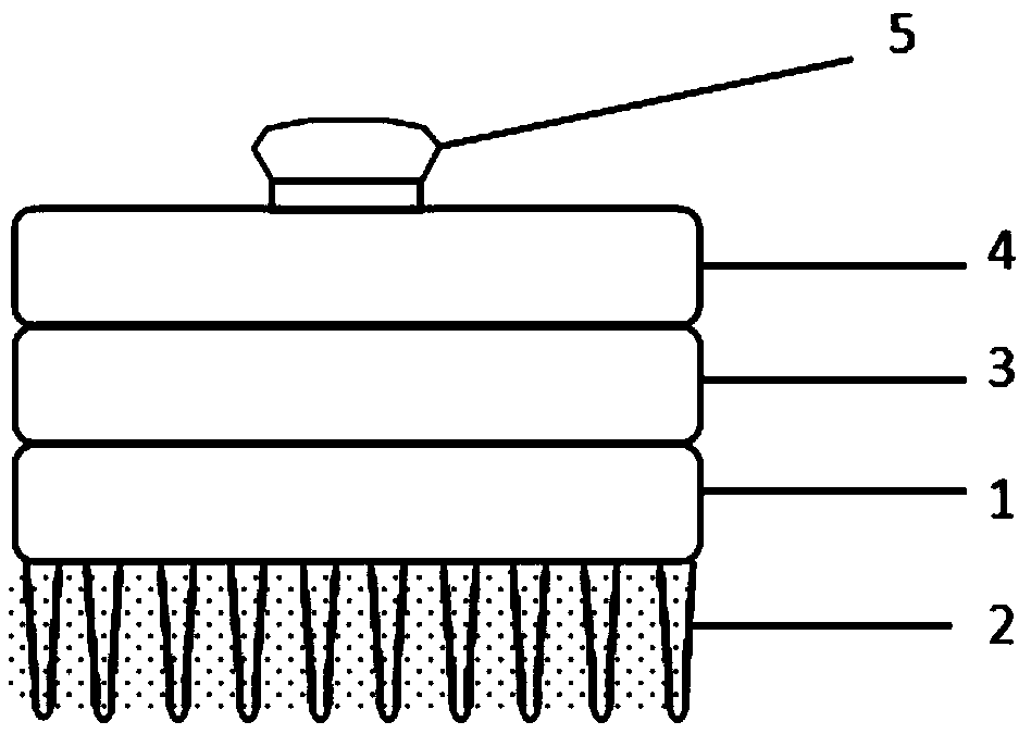 Flexible semi-dry multi-layer structure electrode for collecting electroencephalogram