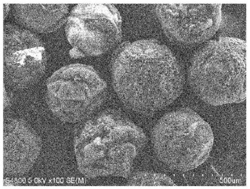 Catalyst-adhered body production method and catalyst adhesion device