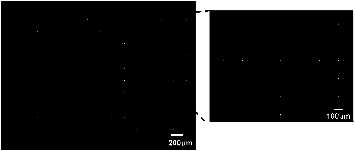 A method for detecting cytotoxicity of drug to be tested on target cells and special cell chip thereof