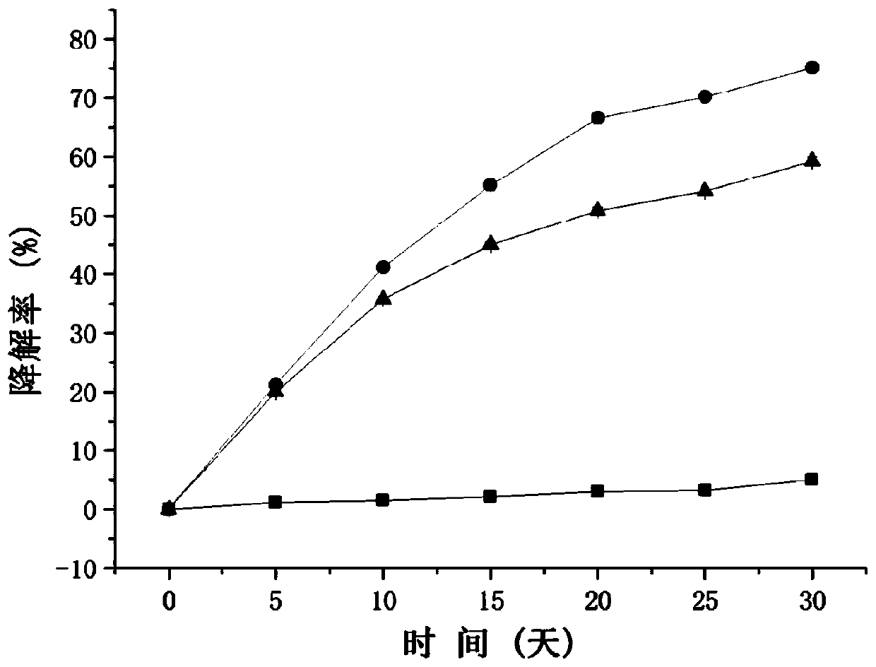 Tetracycline antibiotic degrading bacterium and application thereof in remediation of soil pollution