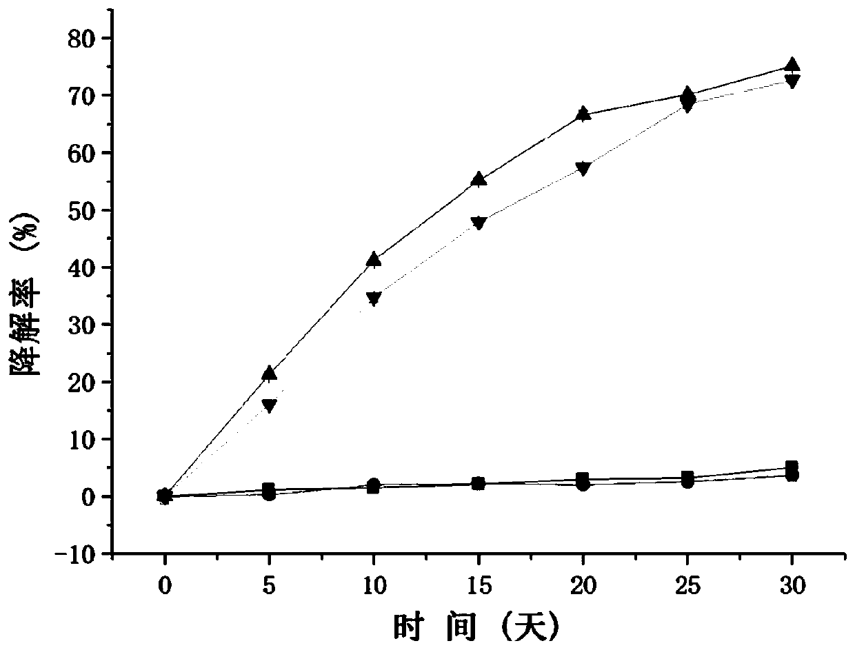 Tetracycline antibiotic degrading bacterium and application thereof in remediation of soil pollution