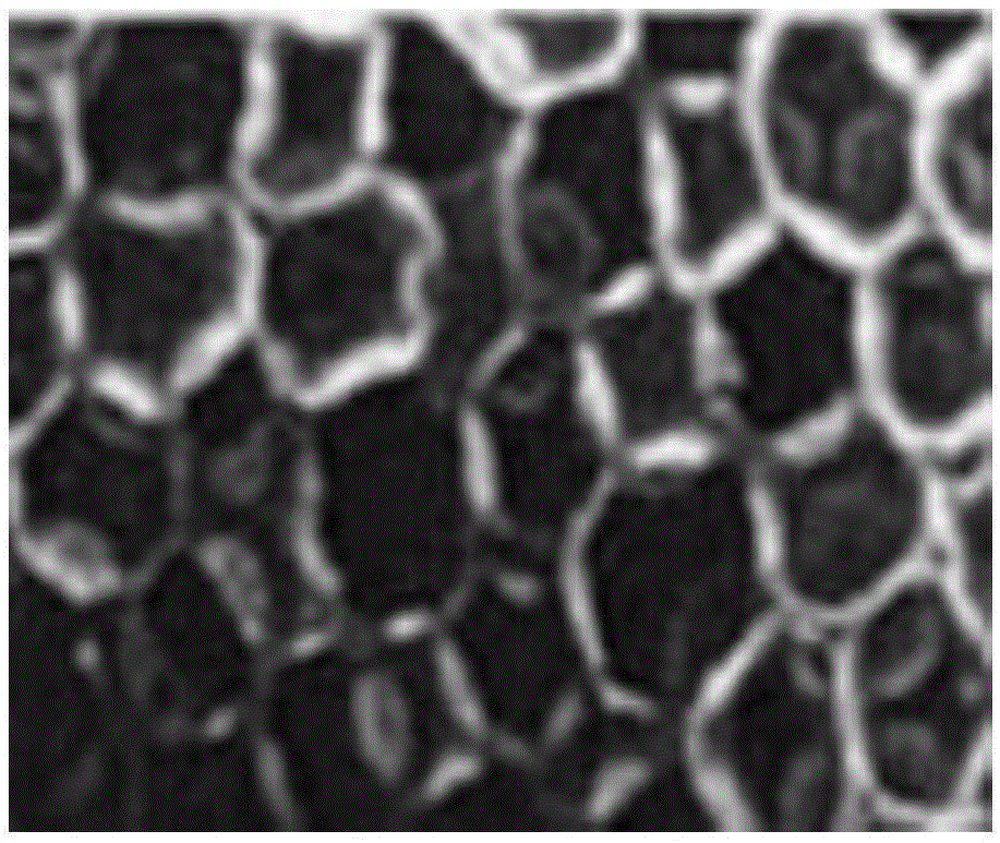 Material used for preparing rigid foamed plastic, and preparation method of rigid foamed plastic