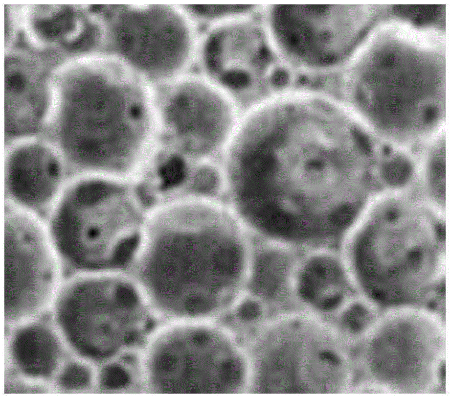 Material used for preparing rigid foamed plastic, and preparation method of rigid foamed plastic