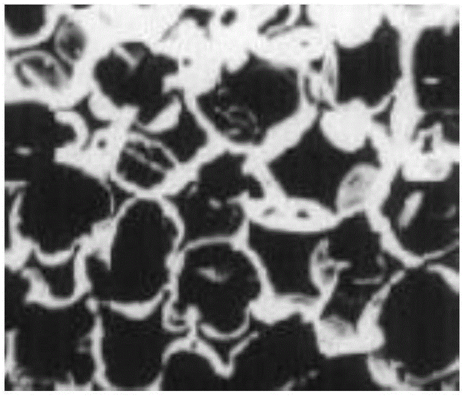 Material used for preparing rigid foamed plastic, and preparation method of rigid foamed plastic