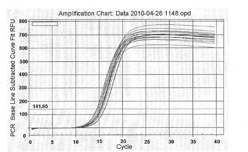 Novel shRNA for increasing animal fertility and application thereof