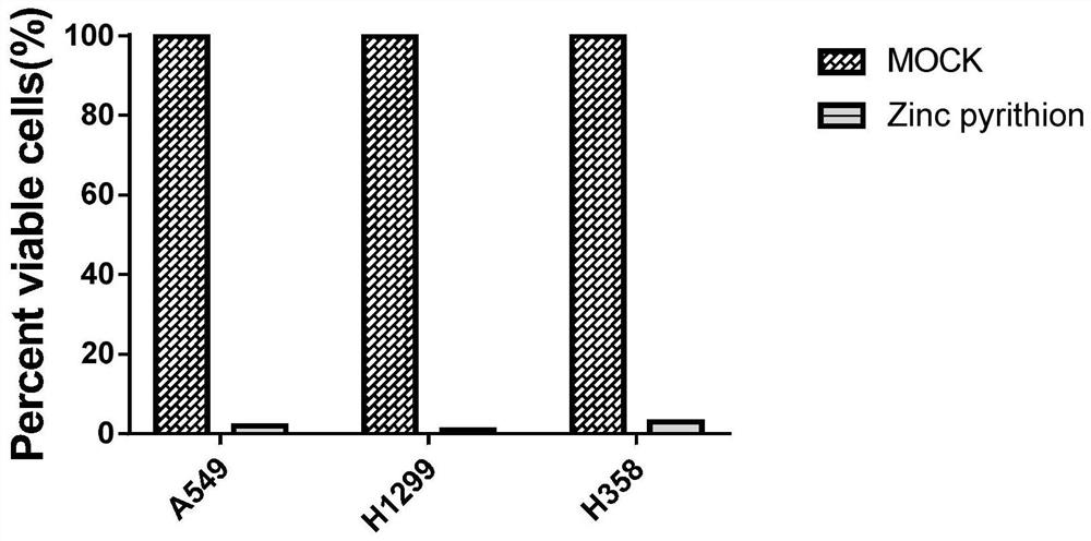 Application of pyrithione zinc in treatment of lung cancer