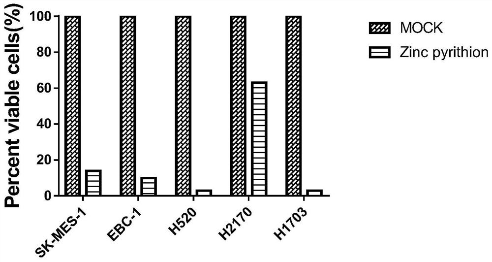 Application of pyrithione zinc in treatment of lung cancer