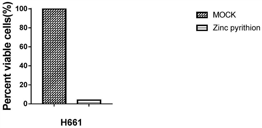 Application of pyrithione zinc in treatment of lung cancer