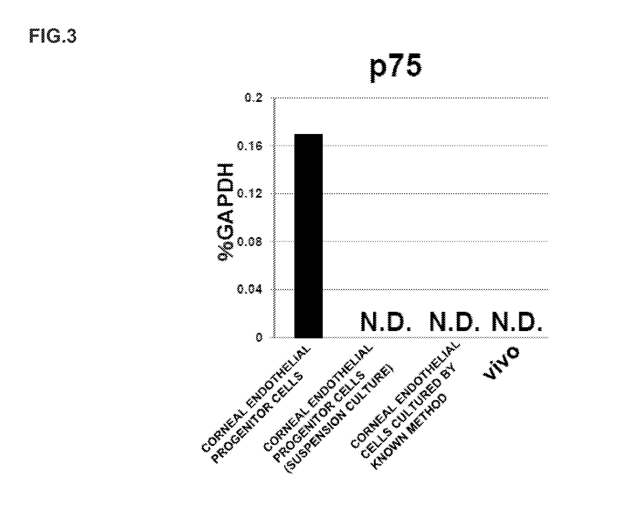 Method for preparing corneal endothelial cell