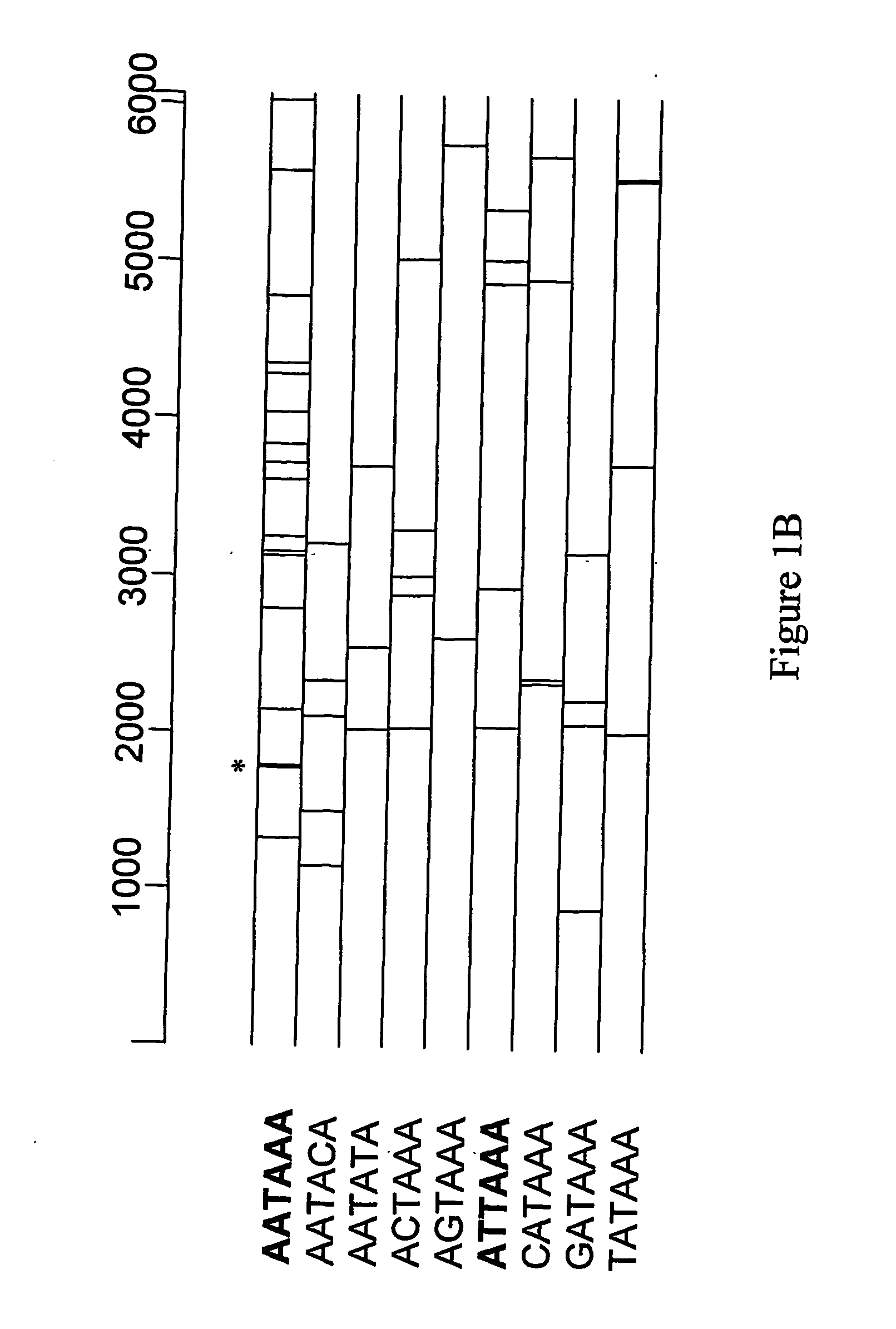 Mammalian retrotransposable elements