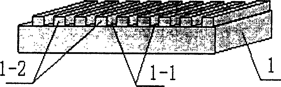 Nano level grating for polarization beam division / combination and method for making same