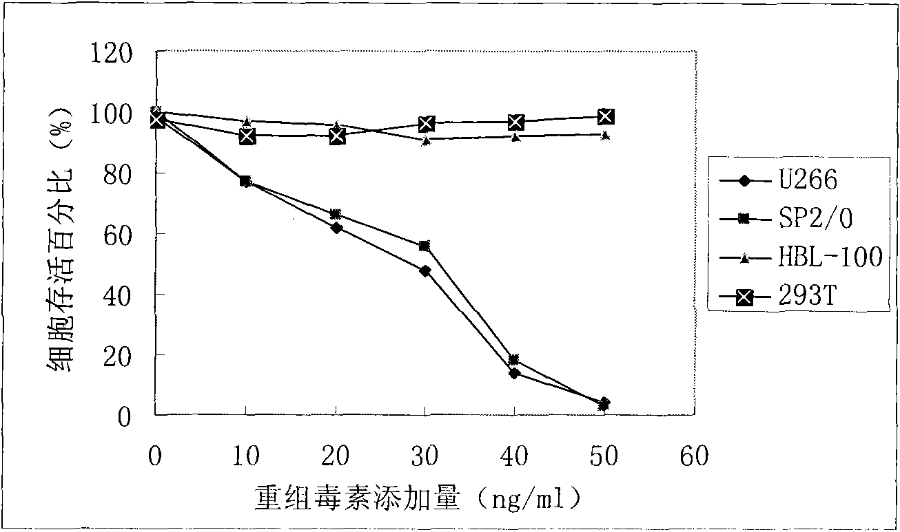 Targeted anti-tumor recombinant protein and preparation method thereof