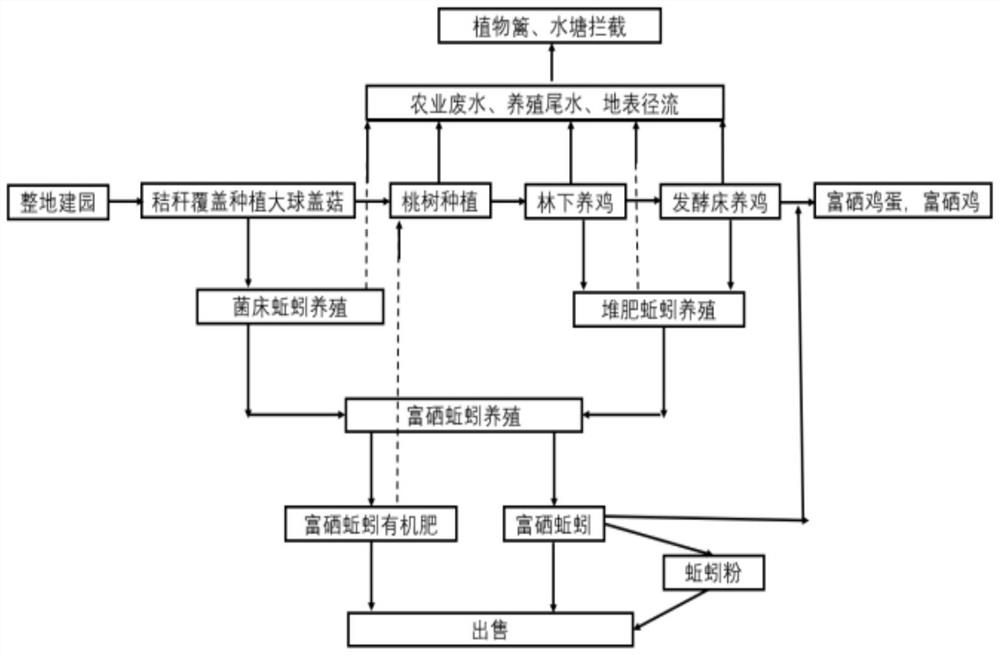 Intelligent ecological planting method for soil improvement and grass control of selenium-rich orchard in hilly and mountainous areas