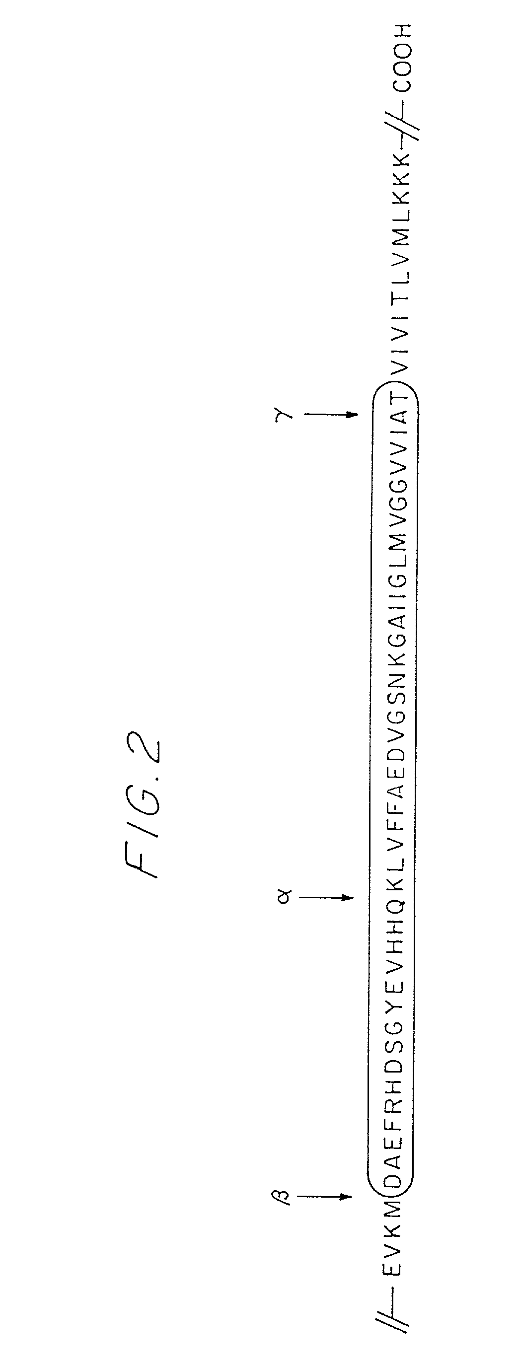 Chimeric peptides as immunogens, antibodies thereto, and methods for immunization using chimeric peptides or antibodies