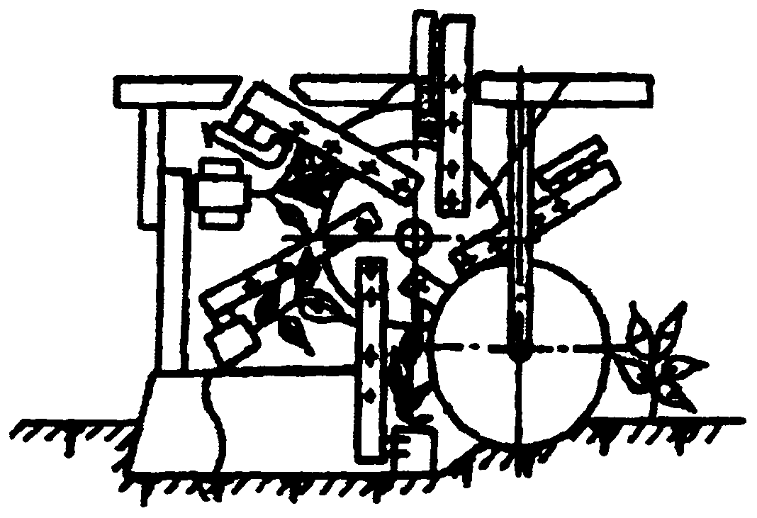 Hand-holding transplanter for corn seedlings