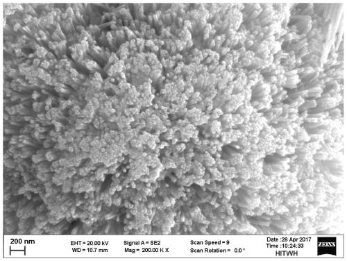 A kind of preparation method of double metal oxide composite negative electrode material with multi-level structure