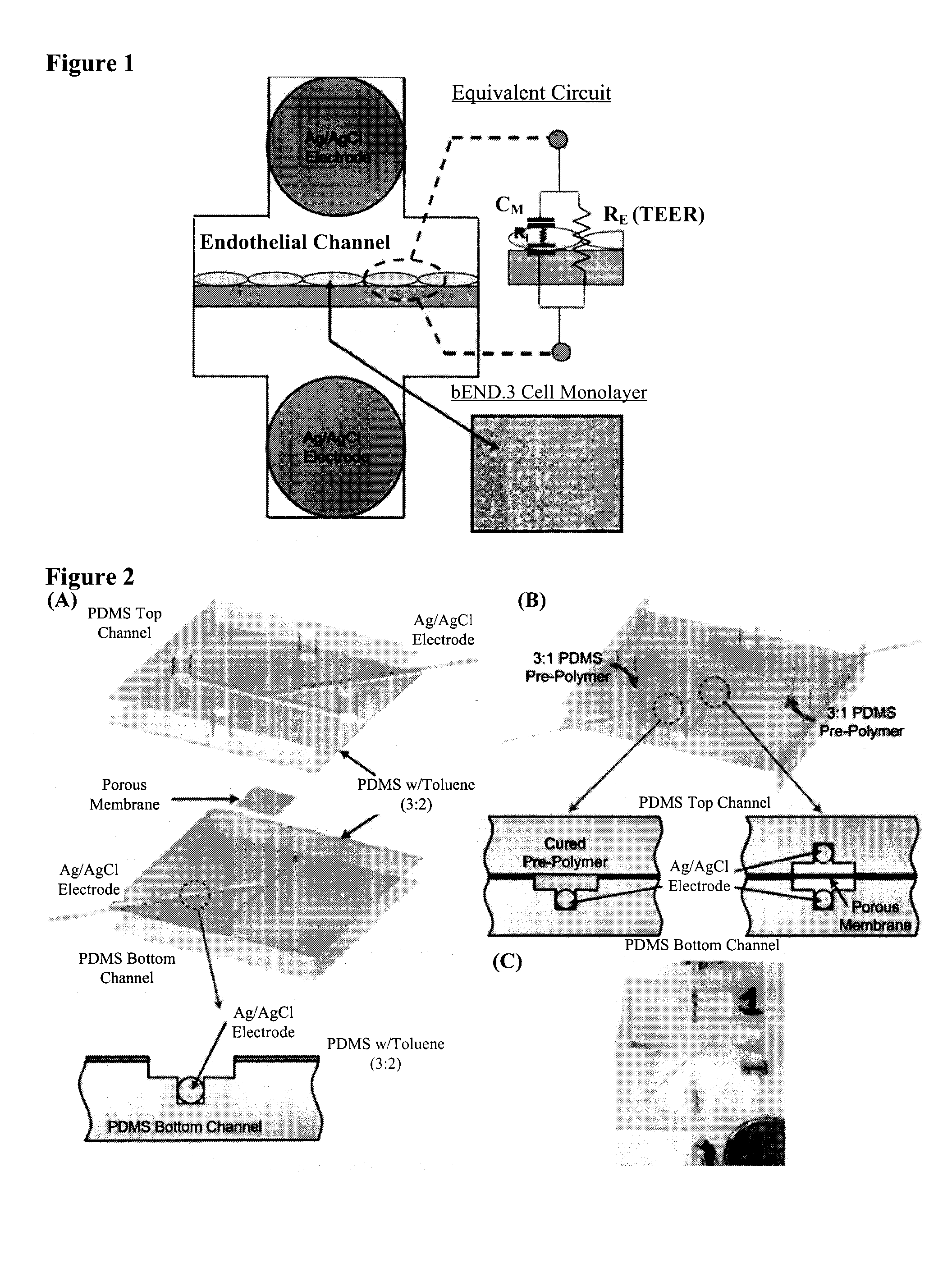 Microfluidic system for measuring cell barrier function