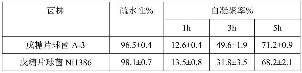 Preparation for resisting helicobacter pylori and relieving gingivitis and application thereof