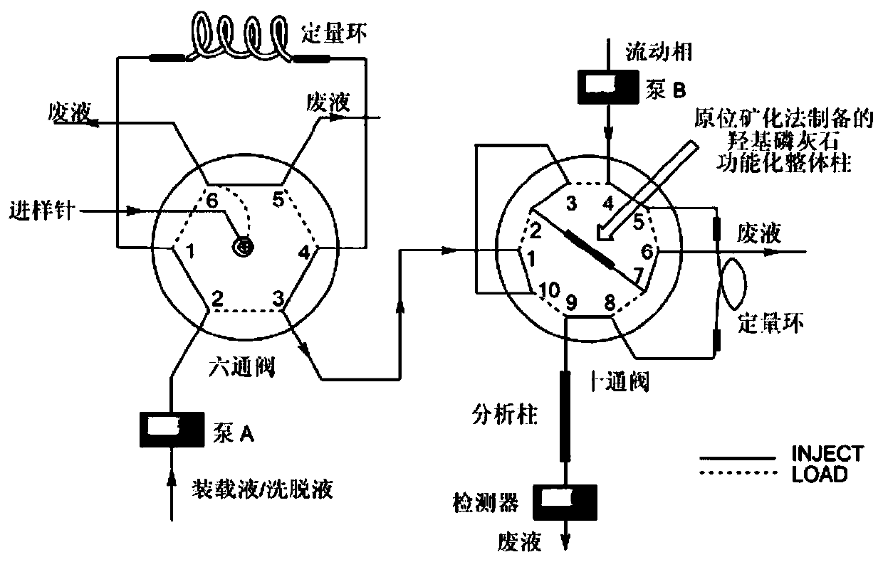 Solid phase microextraction-high performance liquid chromatography online combined detection method for zoledronic acid and risedronic acid