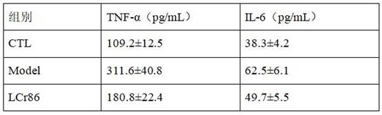 Complex microbial inoculant for preventing and treating genital tract infection