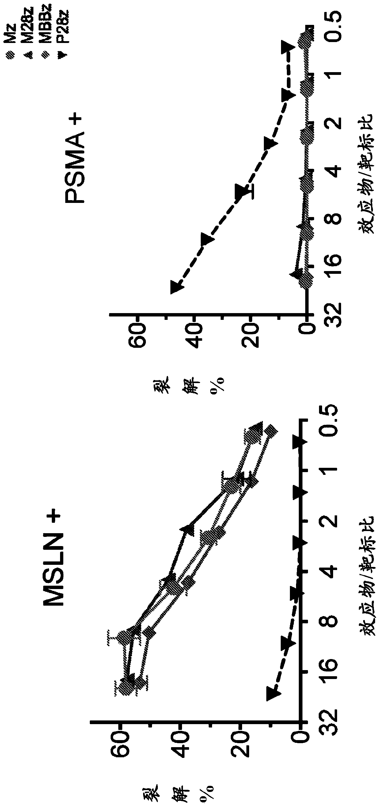 Immune cell compositions and methods of use for treating viral and other infections