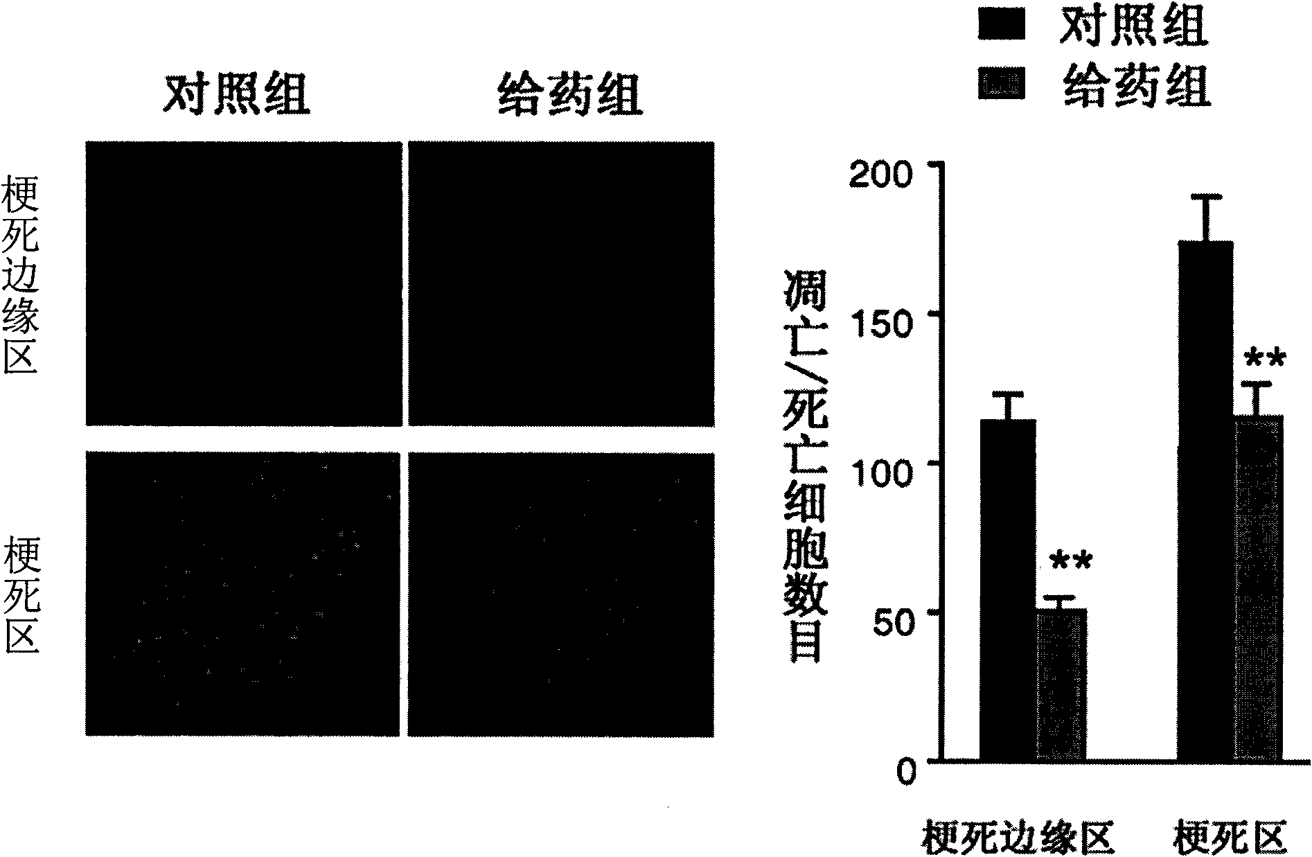 Application of nicotinamide mononucleotide