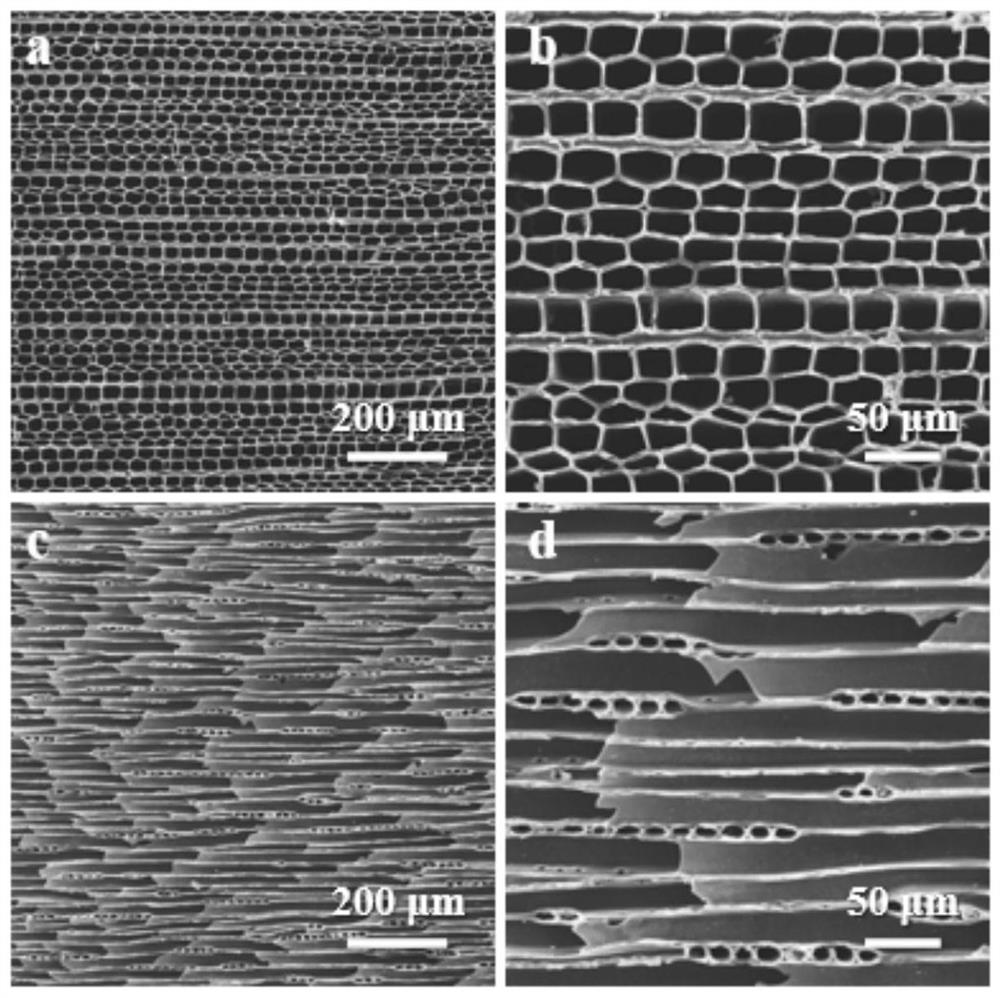 Heteroatom-doped woody plant-based electromagnetic wave absorption material and preparation method thereof