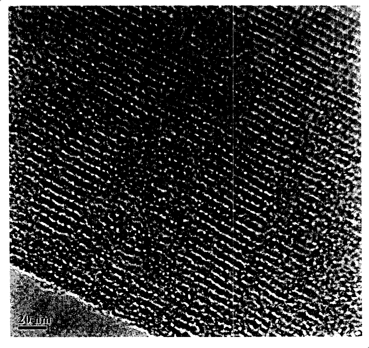 Stephanoporate carbon electrode material and preparation method thereof