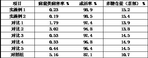 Preparation method of mulberry branch substrates for improving disease resistance of dendrobium huoshanense