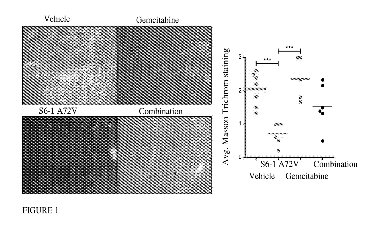 Antifibrotic activity of gas6 inhibitor