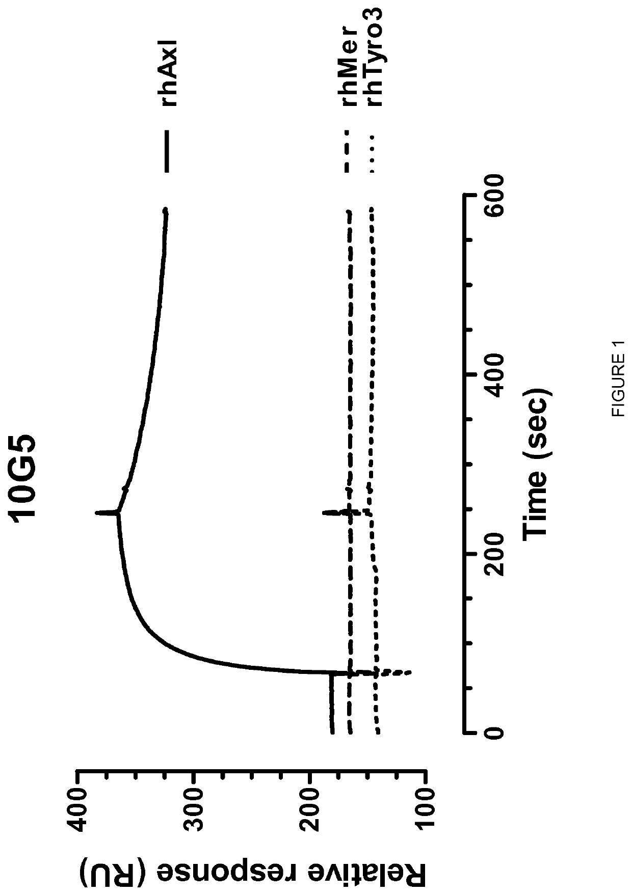 Anti-Axl antagonistic antibodies