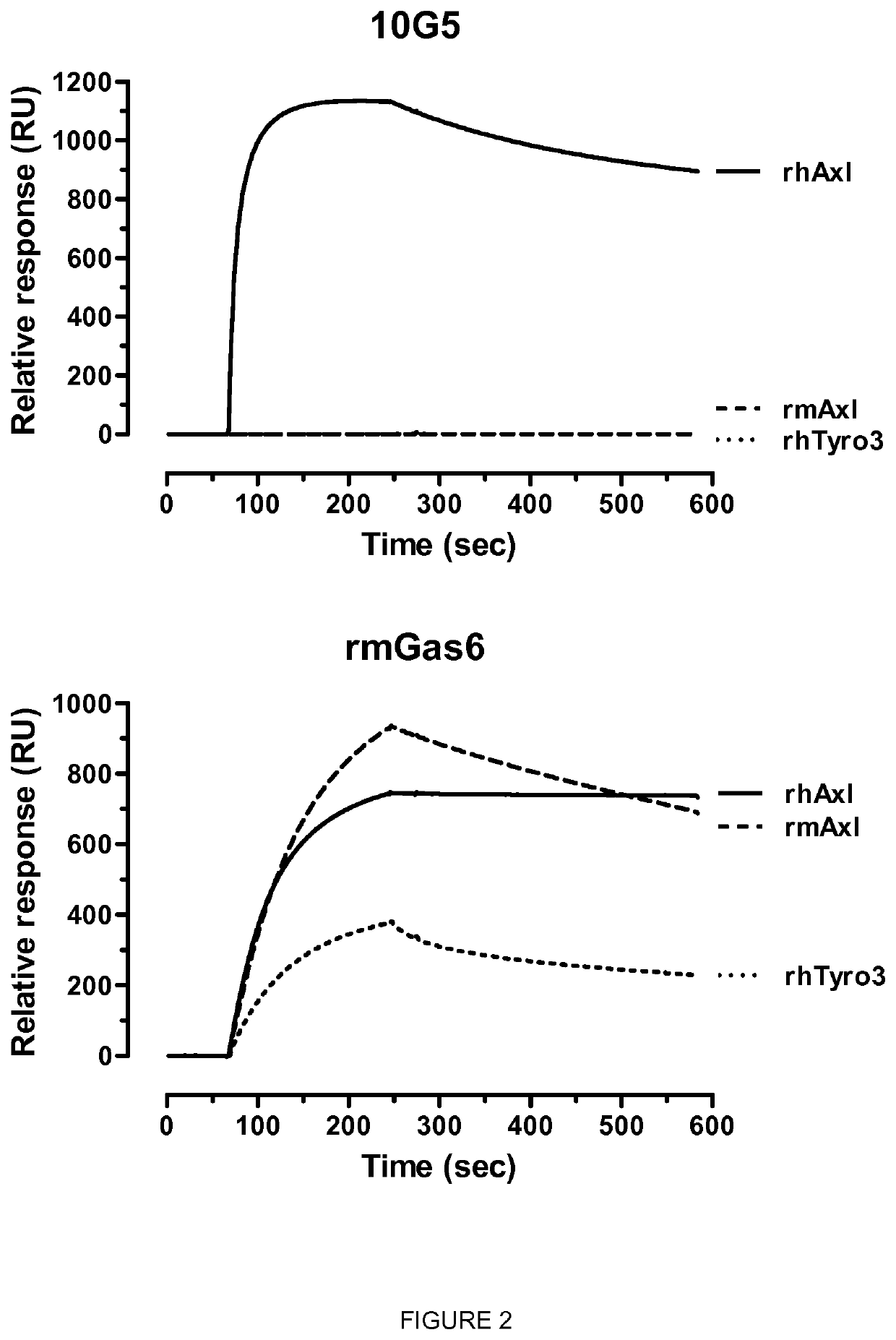 Anti-Axl antagonistic antibodies