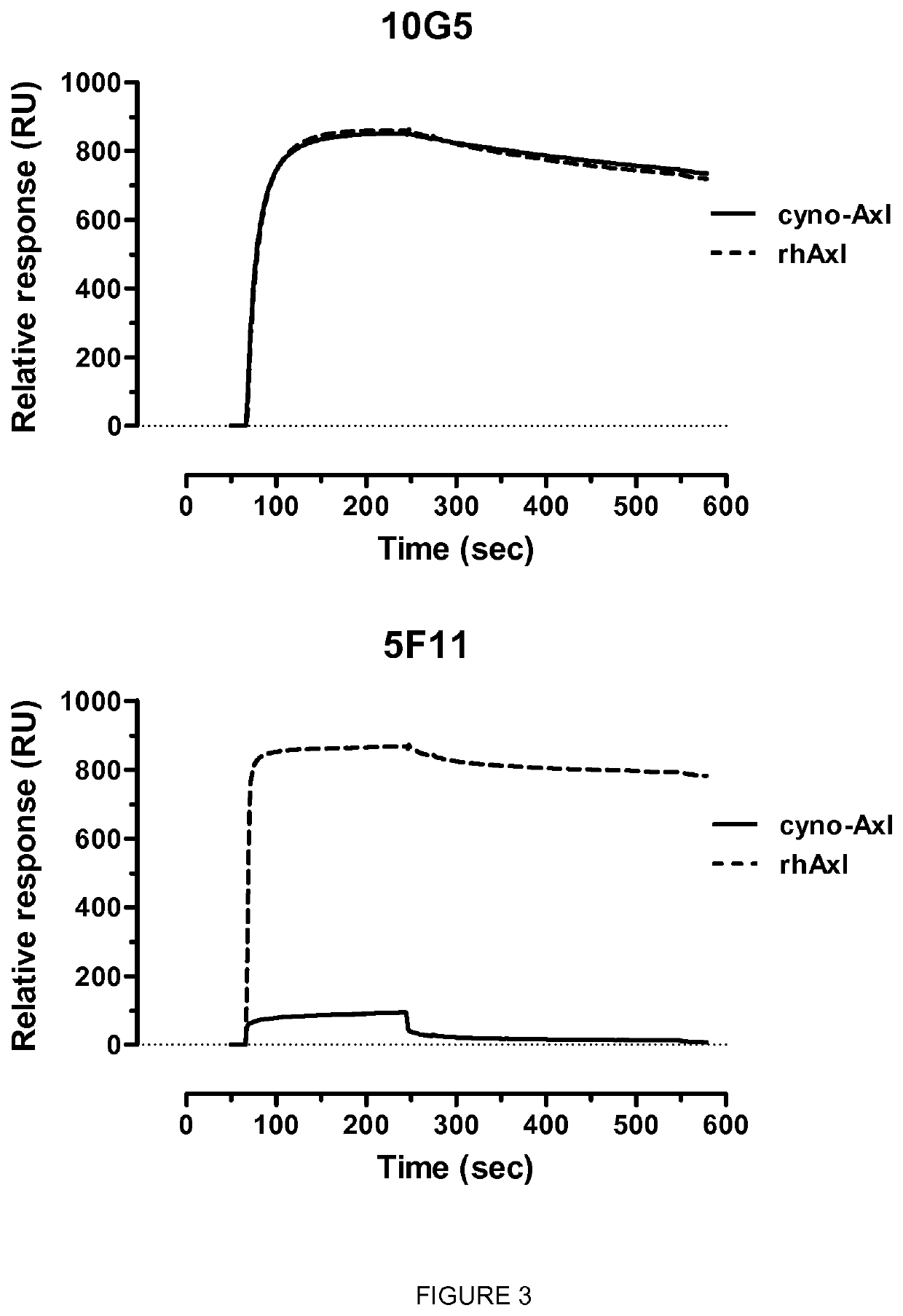 Anti-Axl antagonistic antibodies