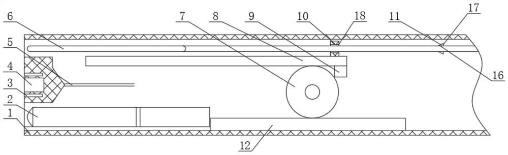 Polyp resection device and use method thereof